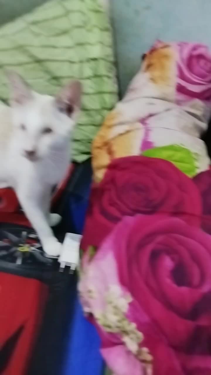 @Antasari.Intan