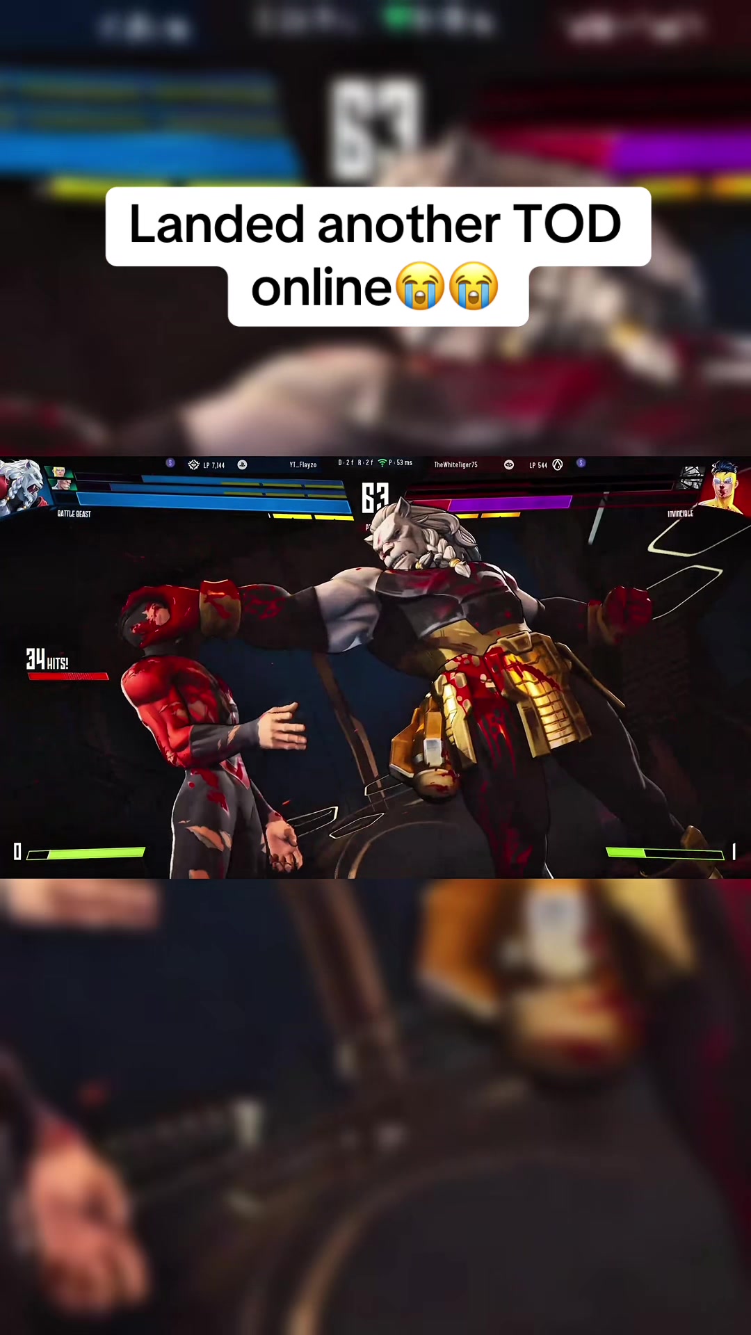 @Flayzo.Sensei