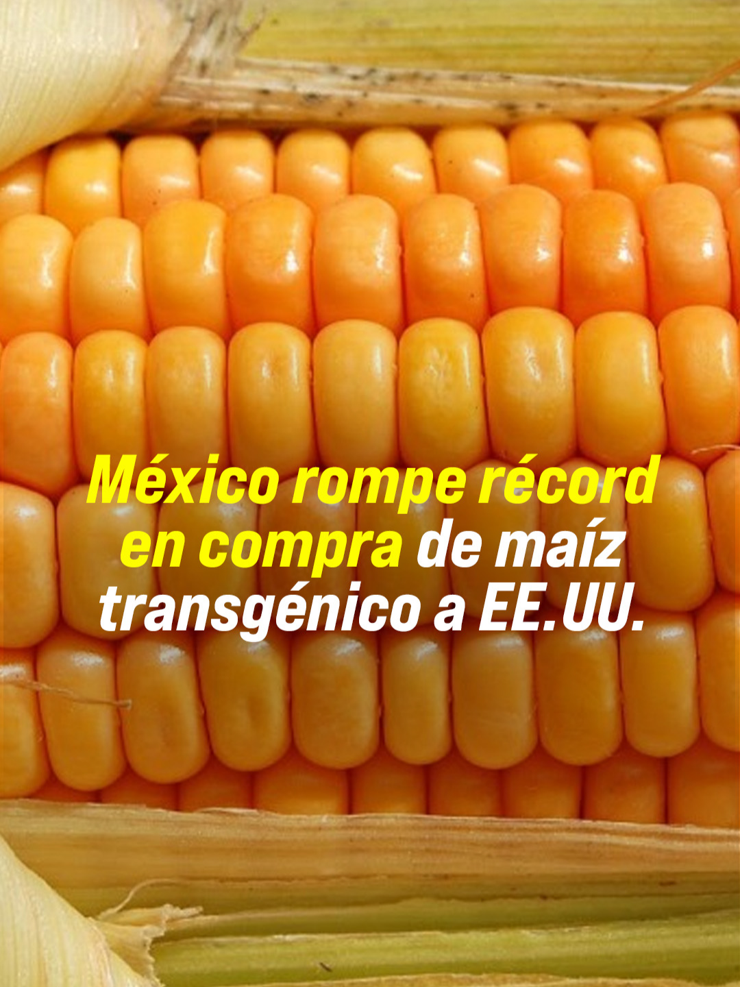@Ahora Resulta