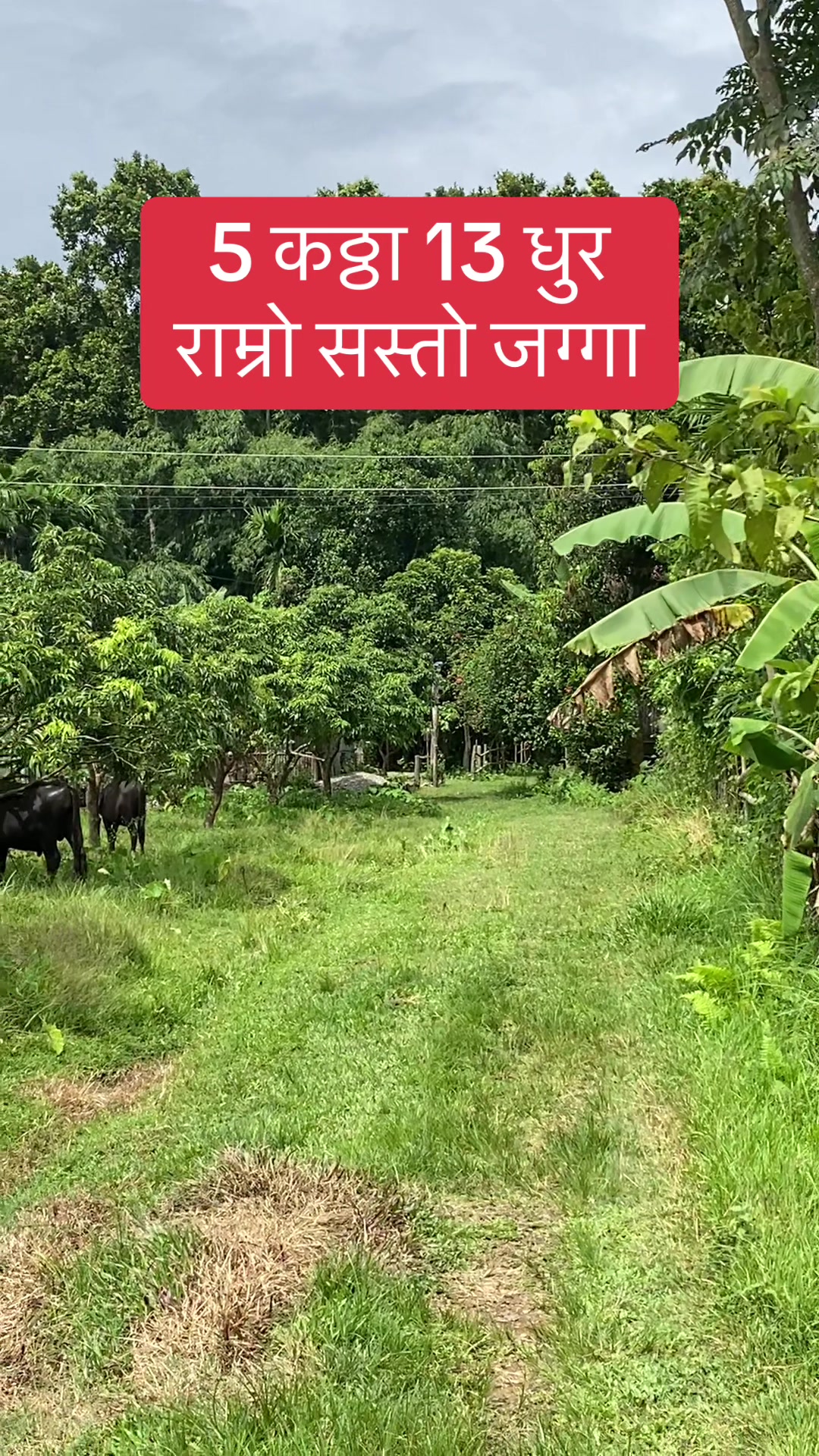 @Bhuban Thapa Real Estate