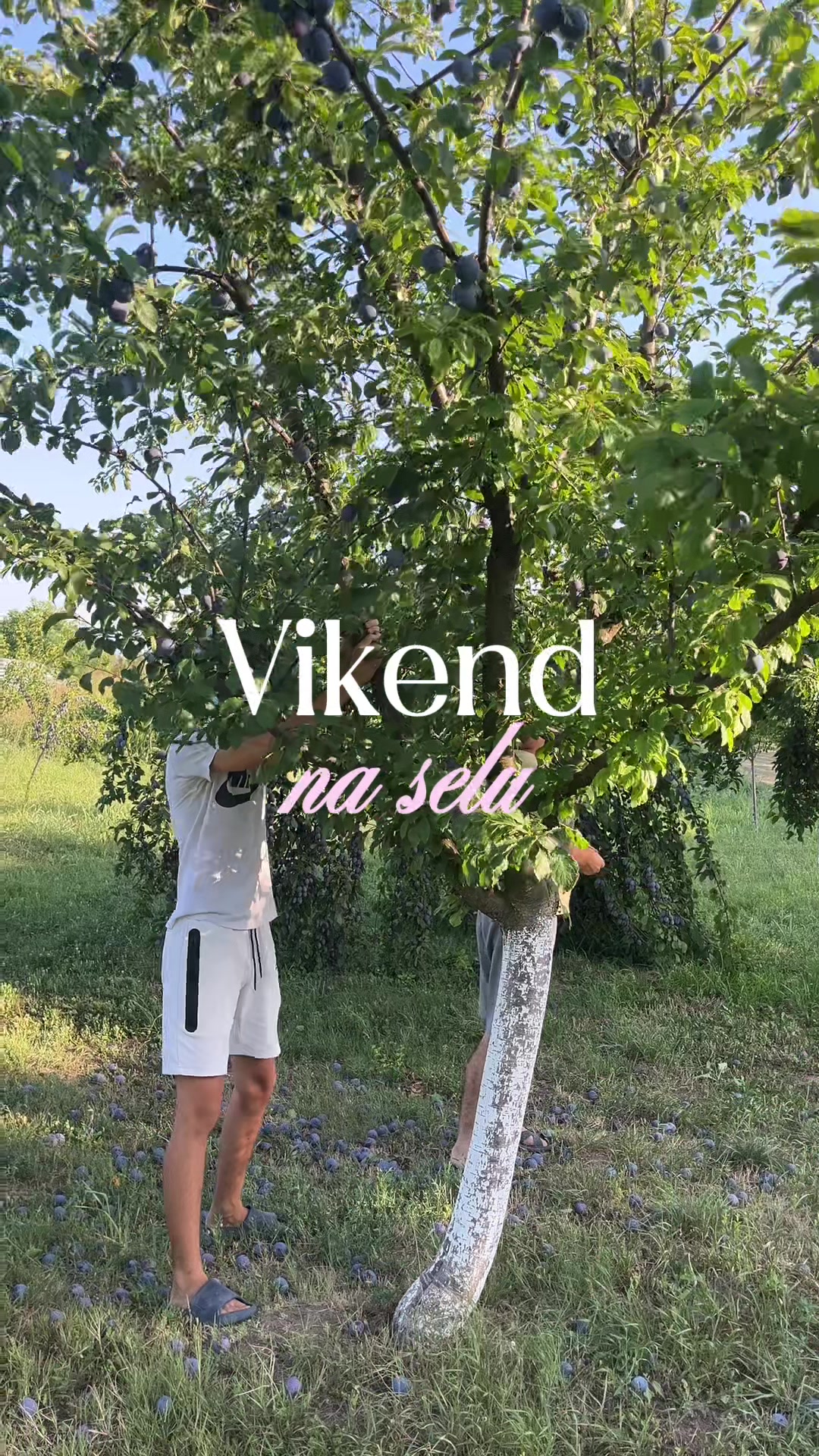 @iz_ugla_jedne_studentkinje