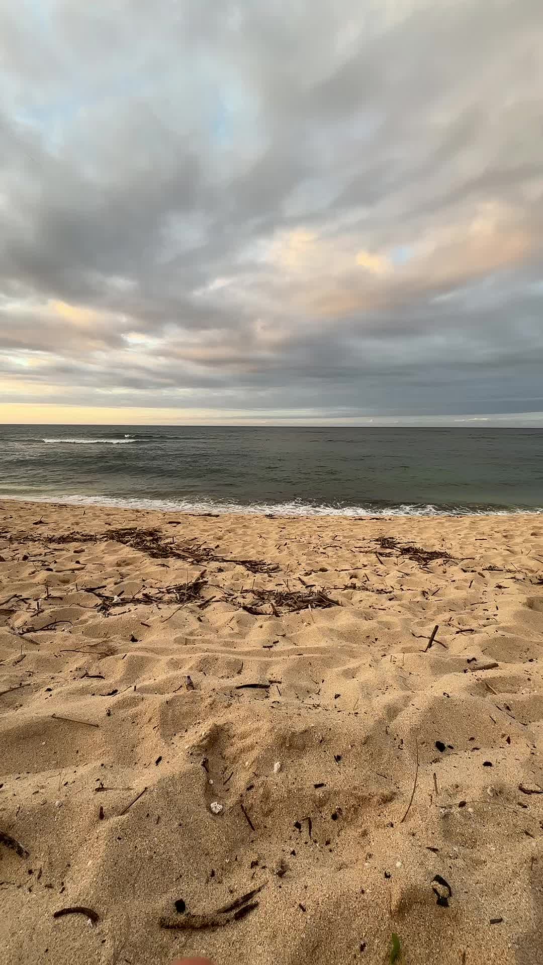 @Kamea