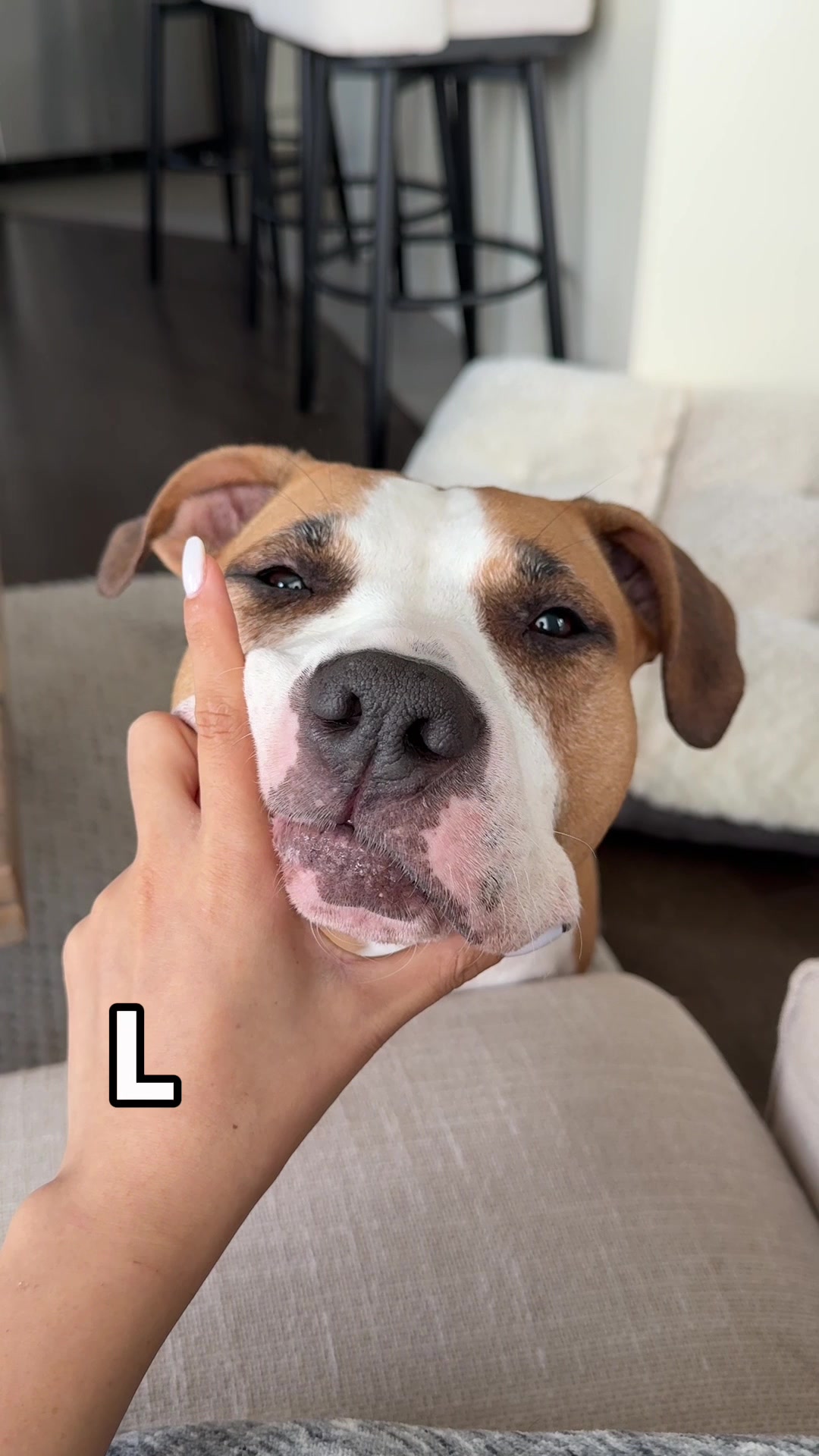 @Luna The Pittie