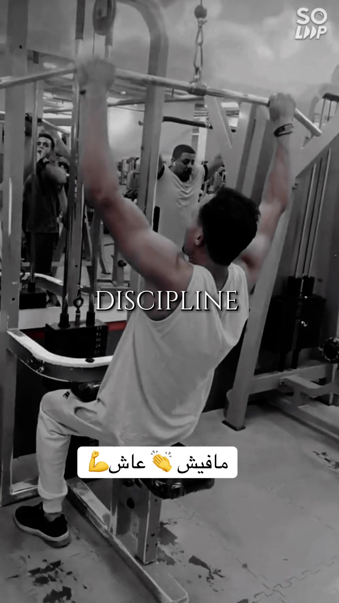 @علي المصري 🇪🇬❤️🇰🇼