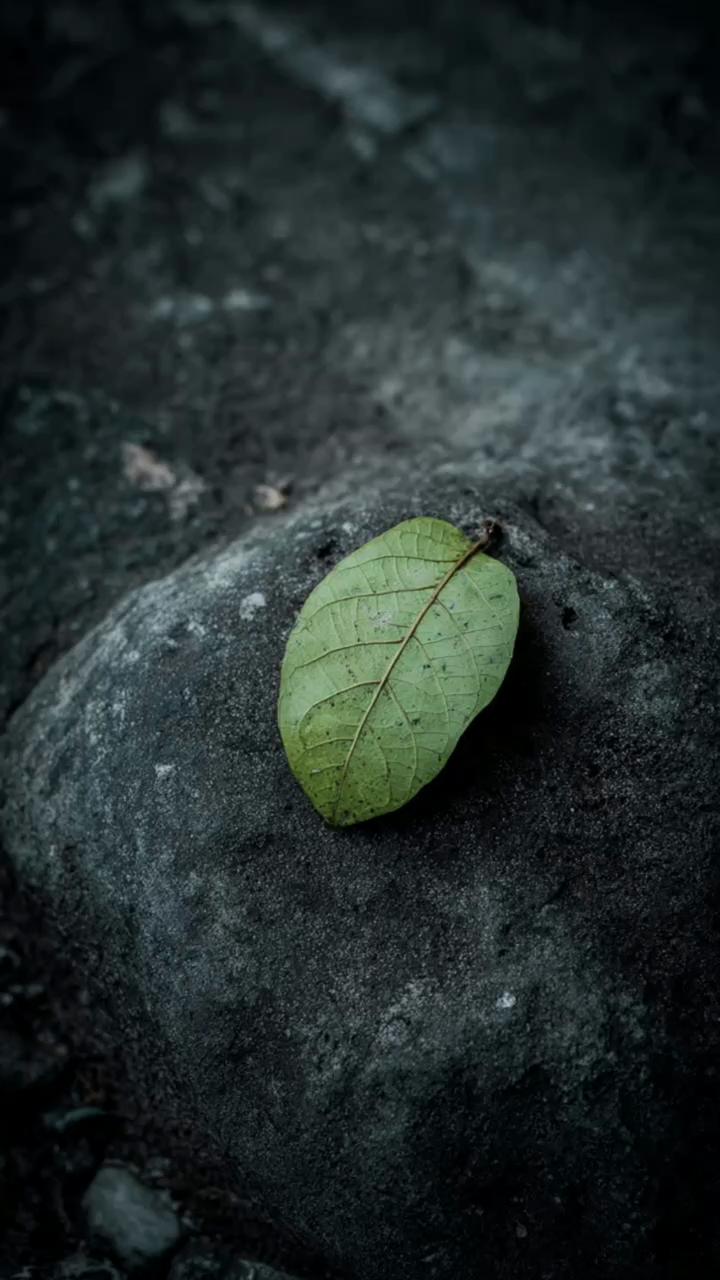@๐ุงููุฑุงู _ูุงูุณูู ๐