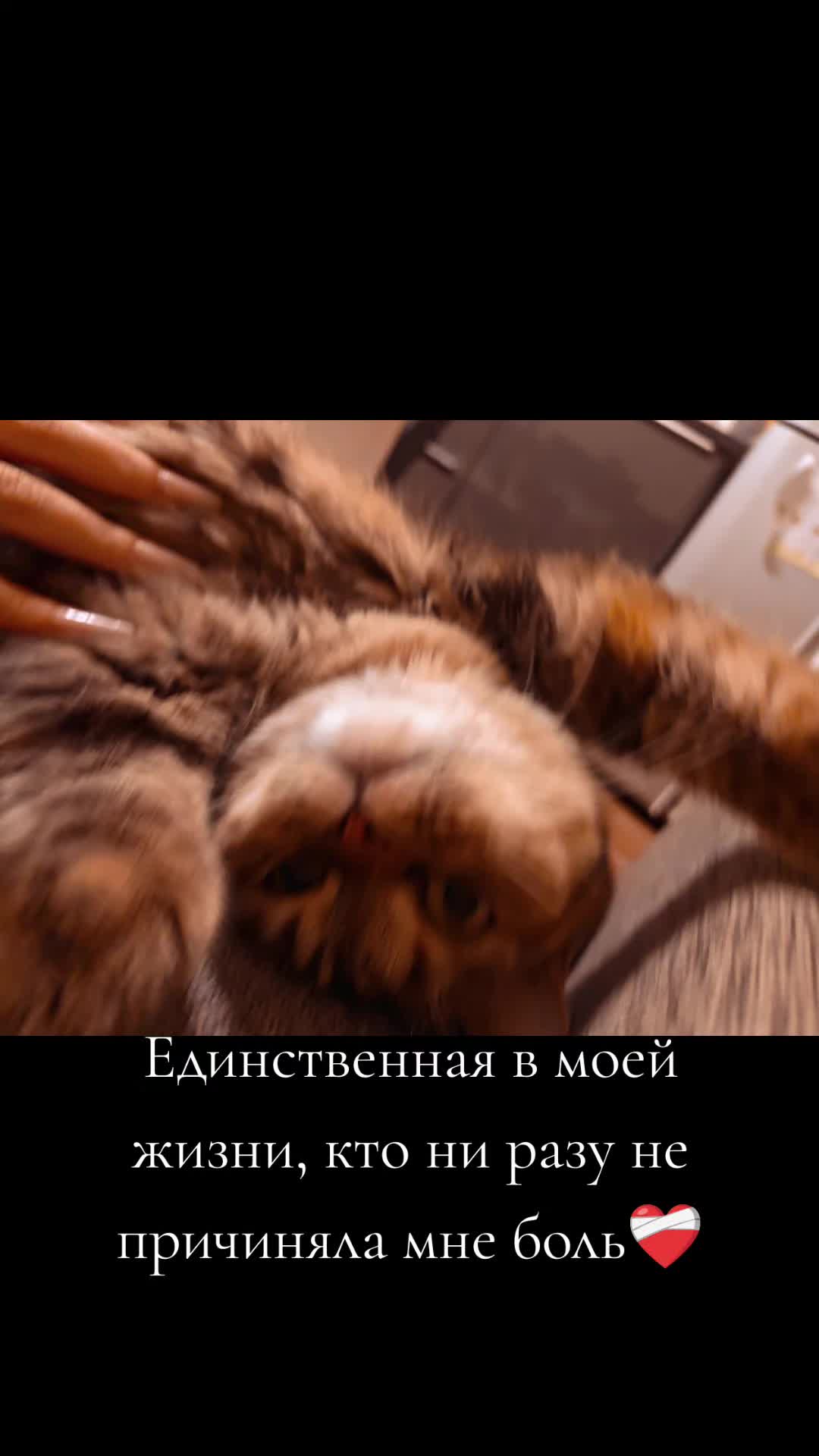 @𝑳𝒊𝒛𝒂