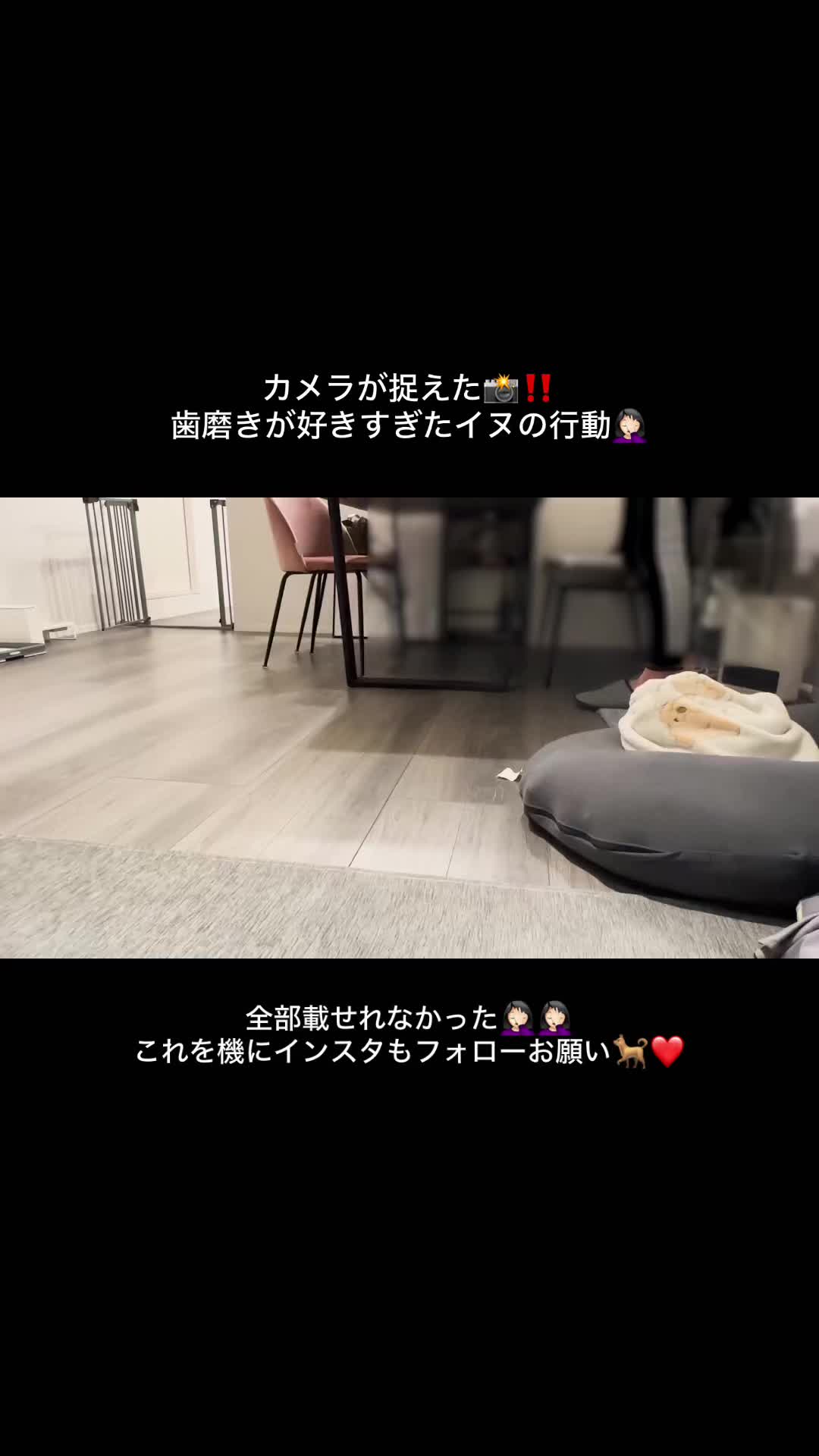 @きなこおぜん
