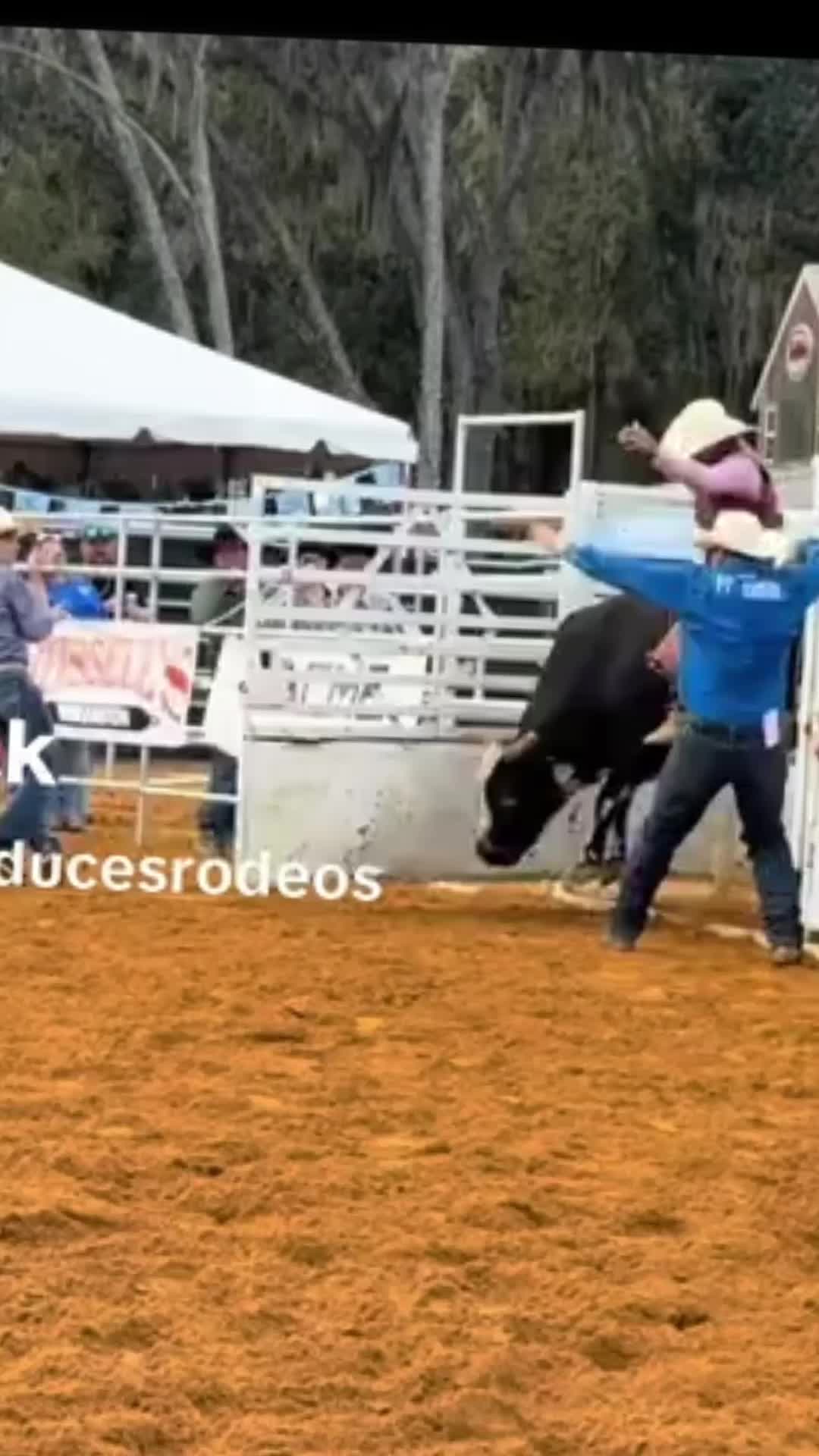 @RickyRingerDaBullStinger