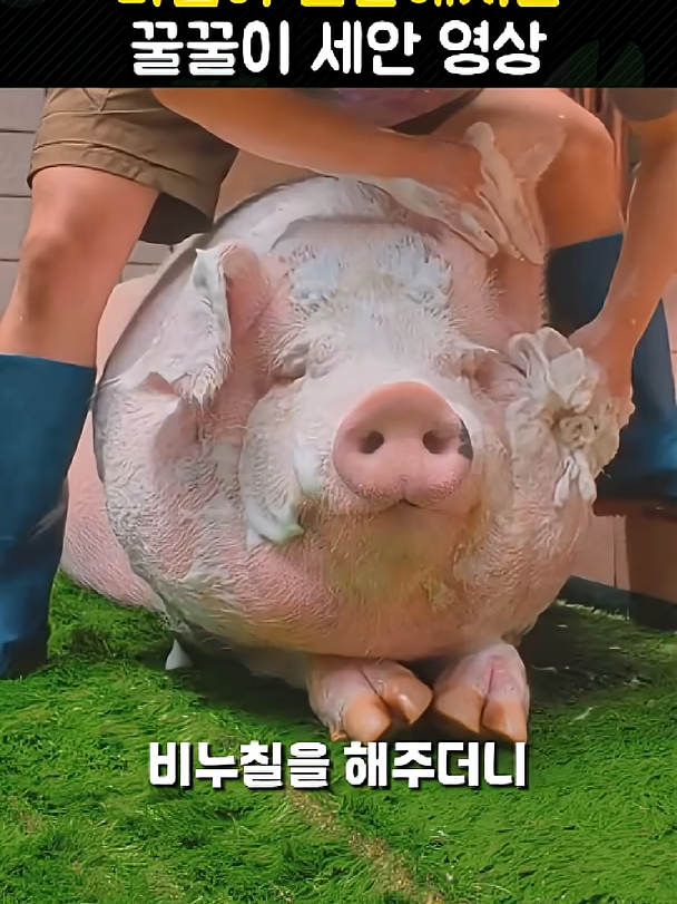 @개블리