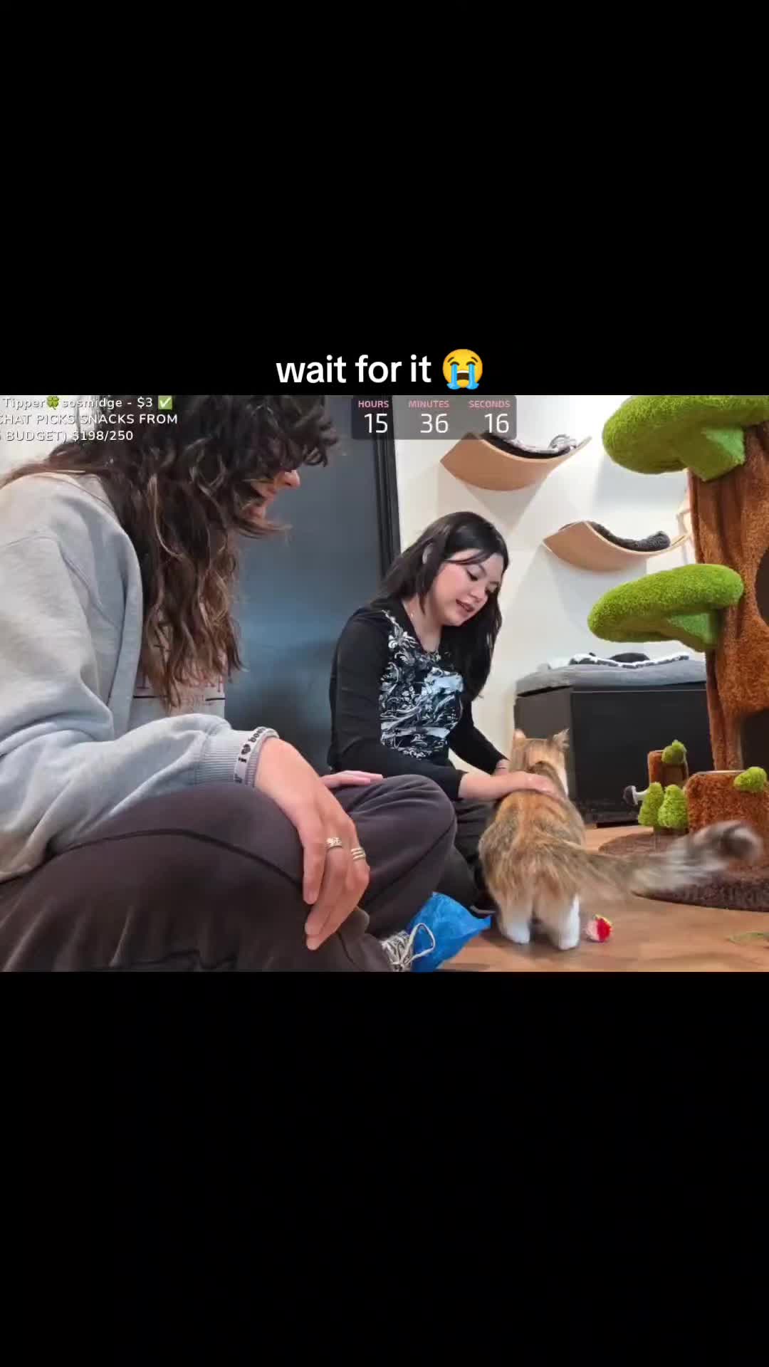 @lexclipz