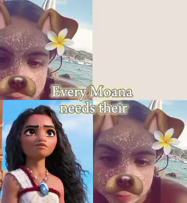 @i due✨🤪esauriti🤪✨