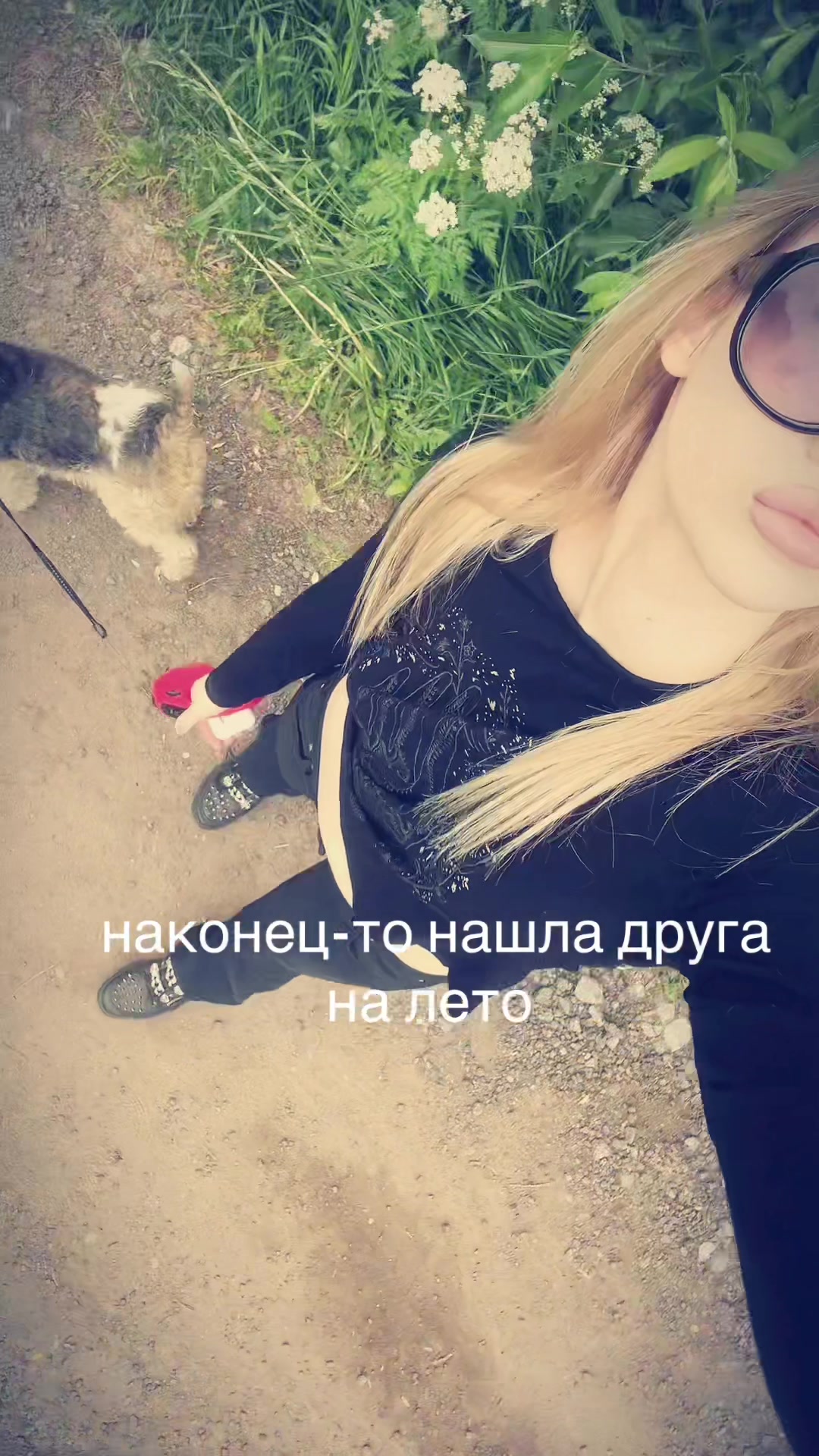 @луидоска