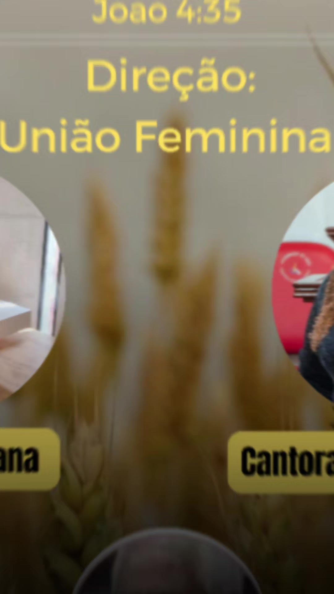 @silvanagaspar5