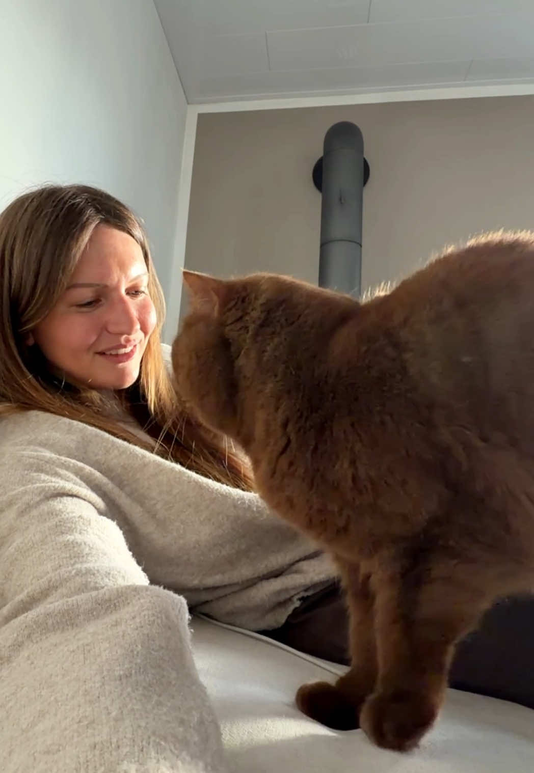 @Sinascolorcats