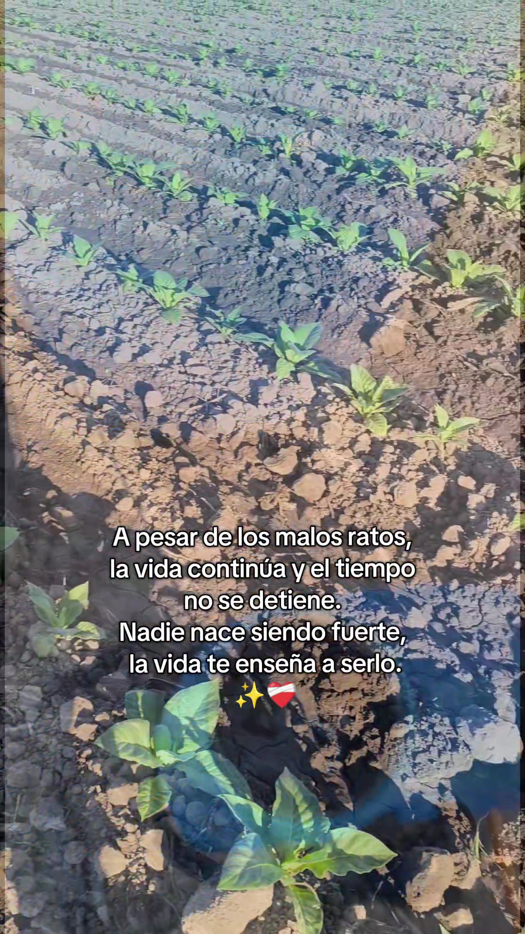 @🇦🇷G@by G.🇦🇷🥀