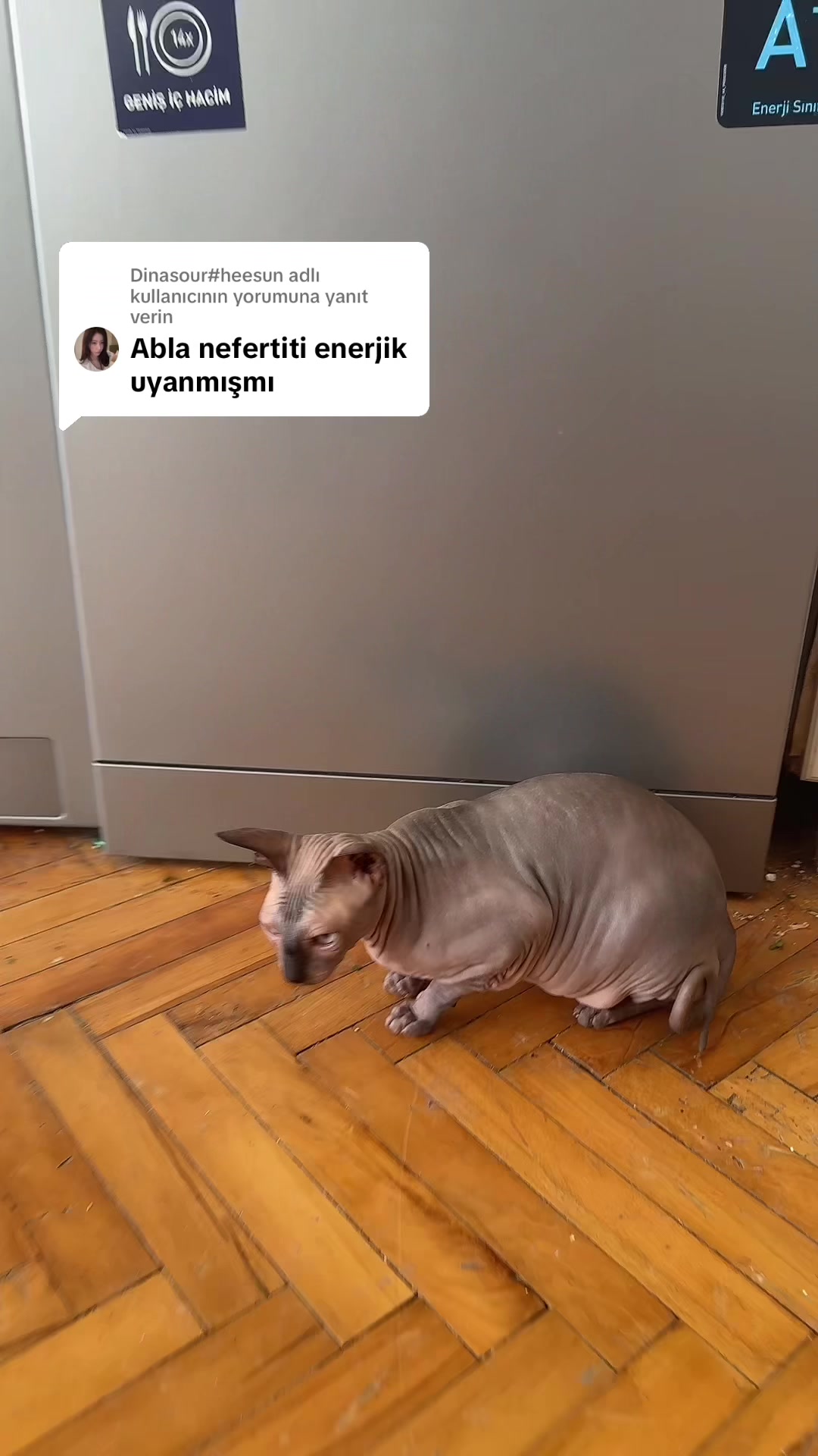 @Larin