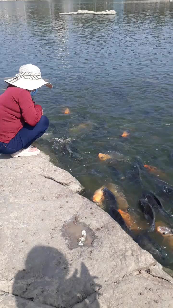 @tấn phát