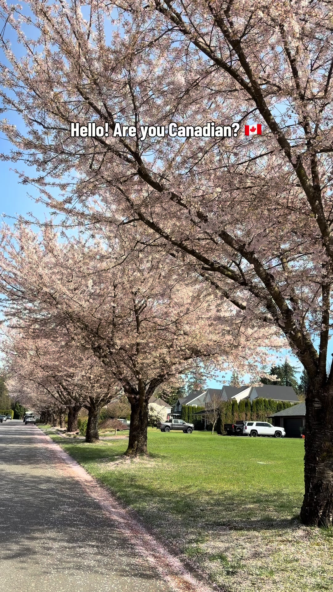 @Aimee - VancouverMama🇨🇦