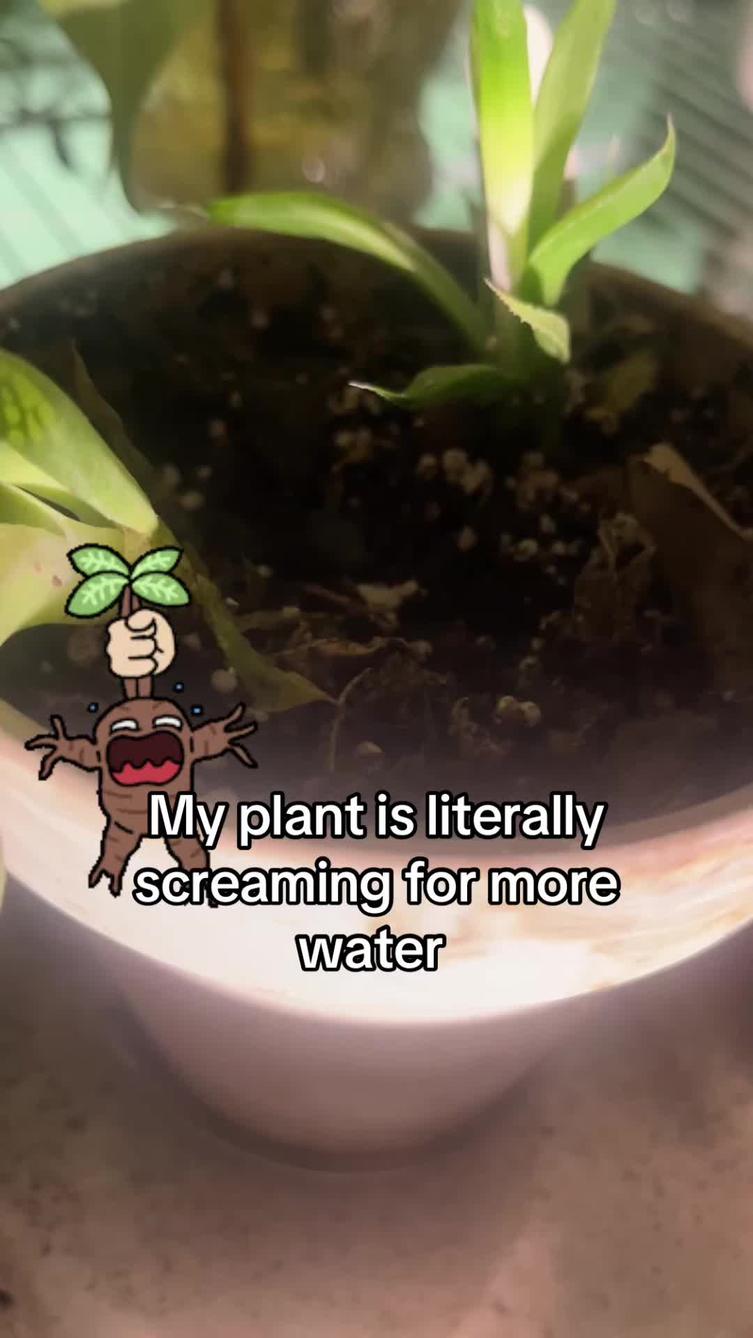 @T