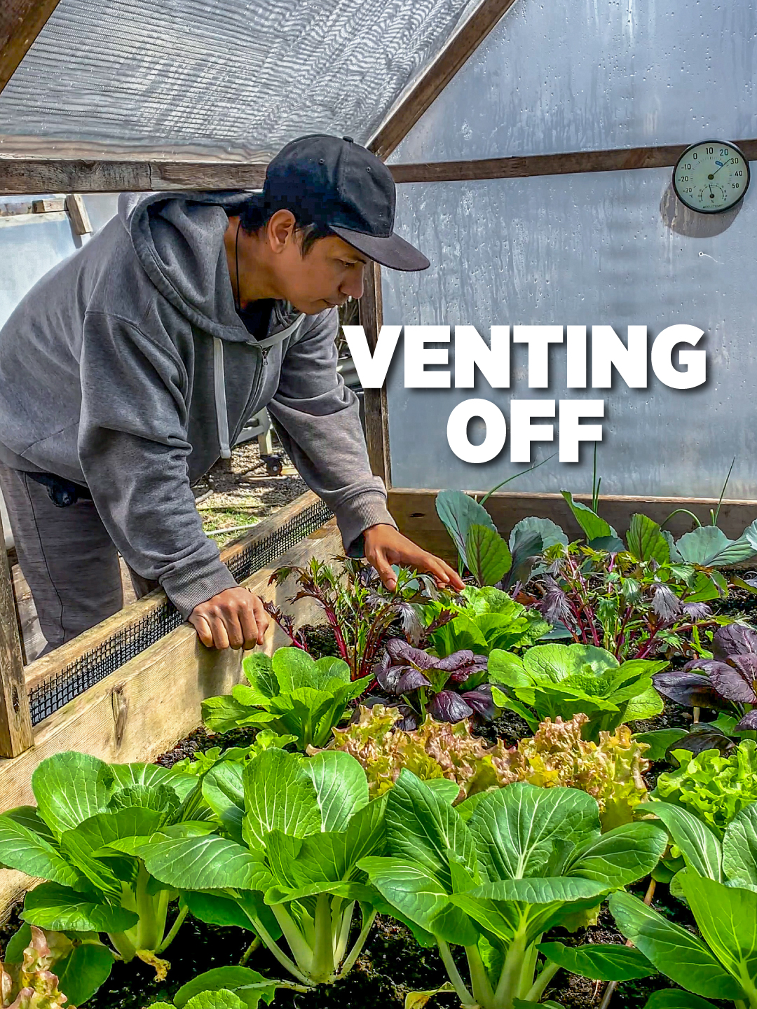 @Planted in the Garden