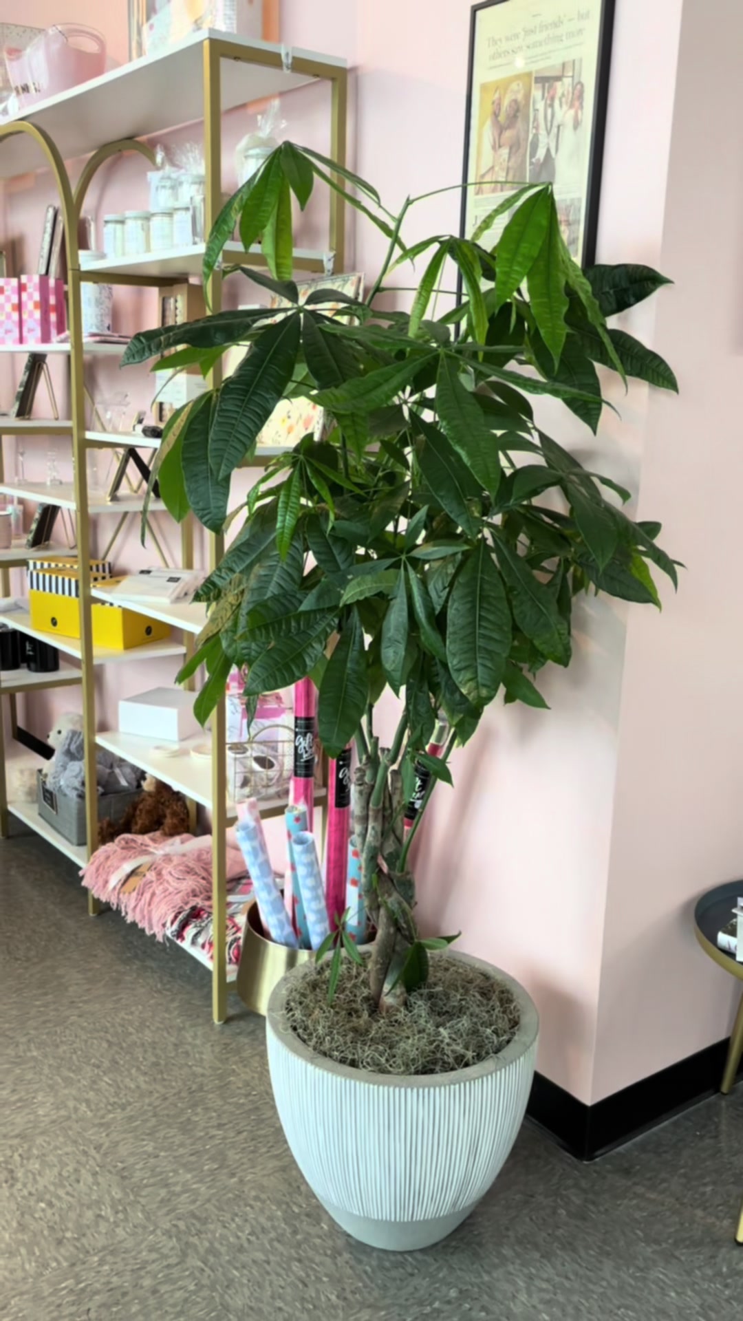 @Boston Flower Co.| Florist