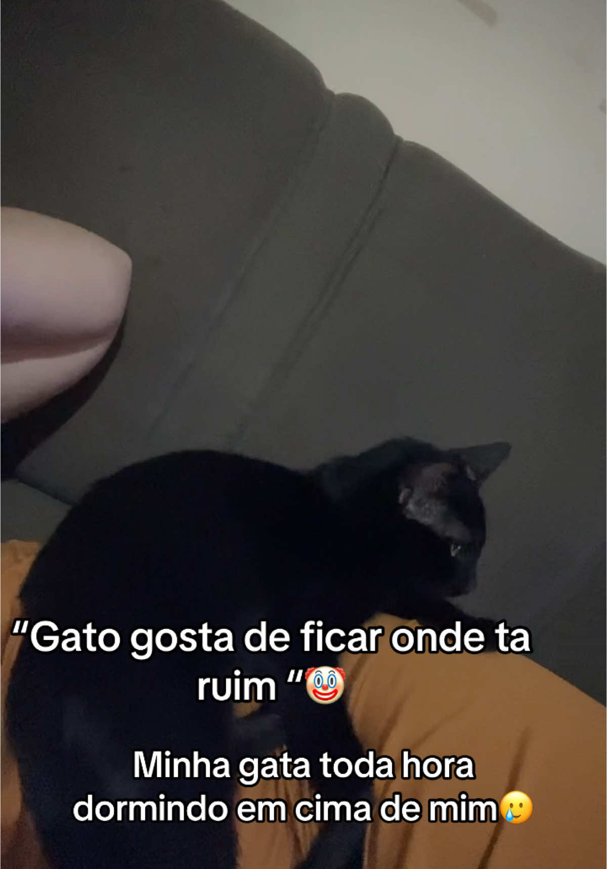 @Bea 🌪️