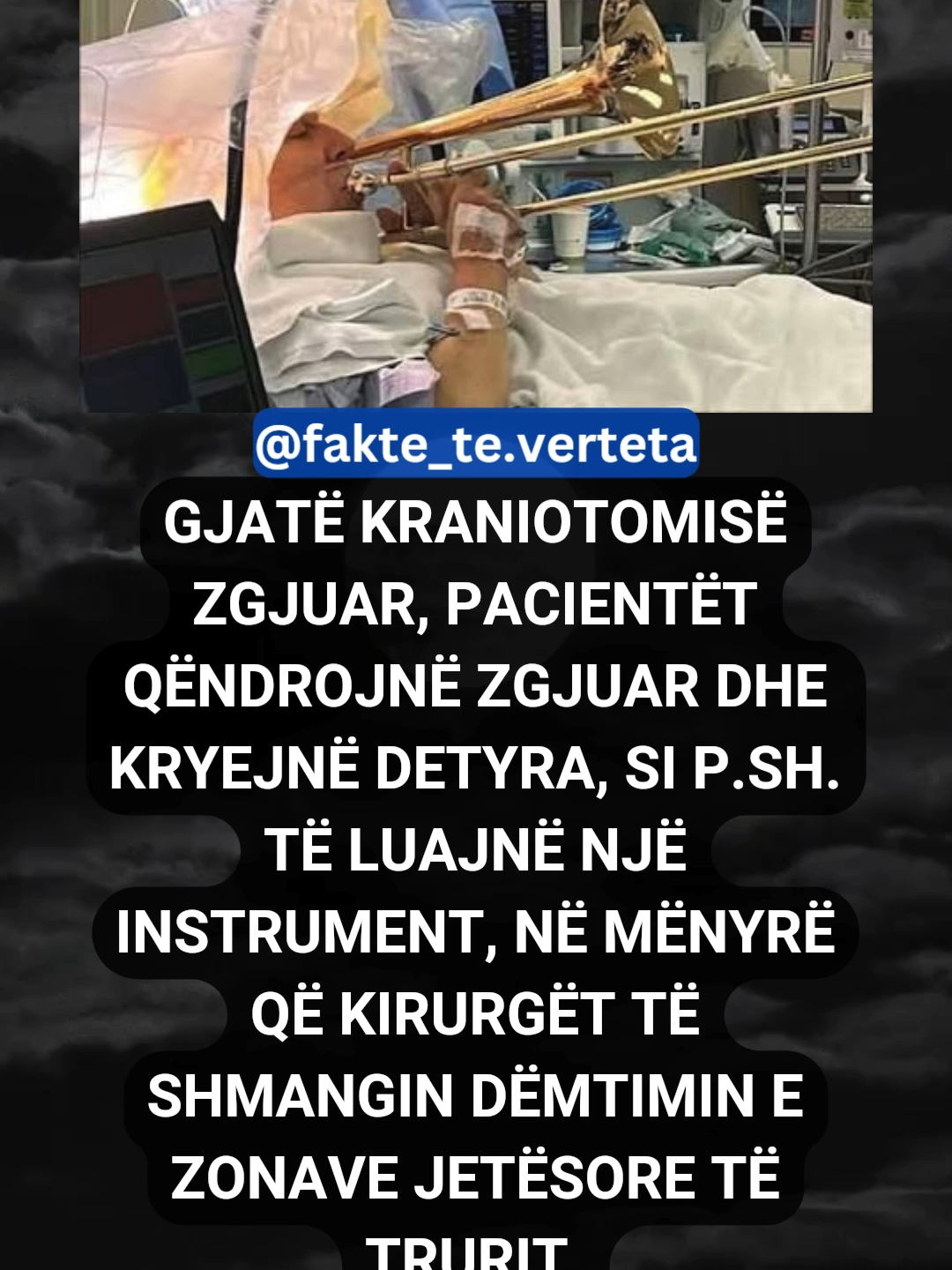 @fakte_te.verteta