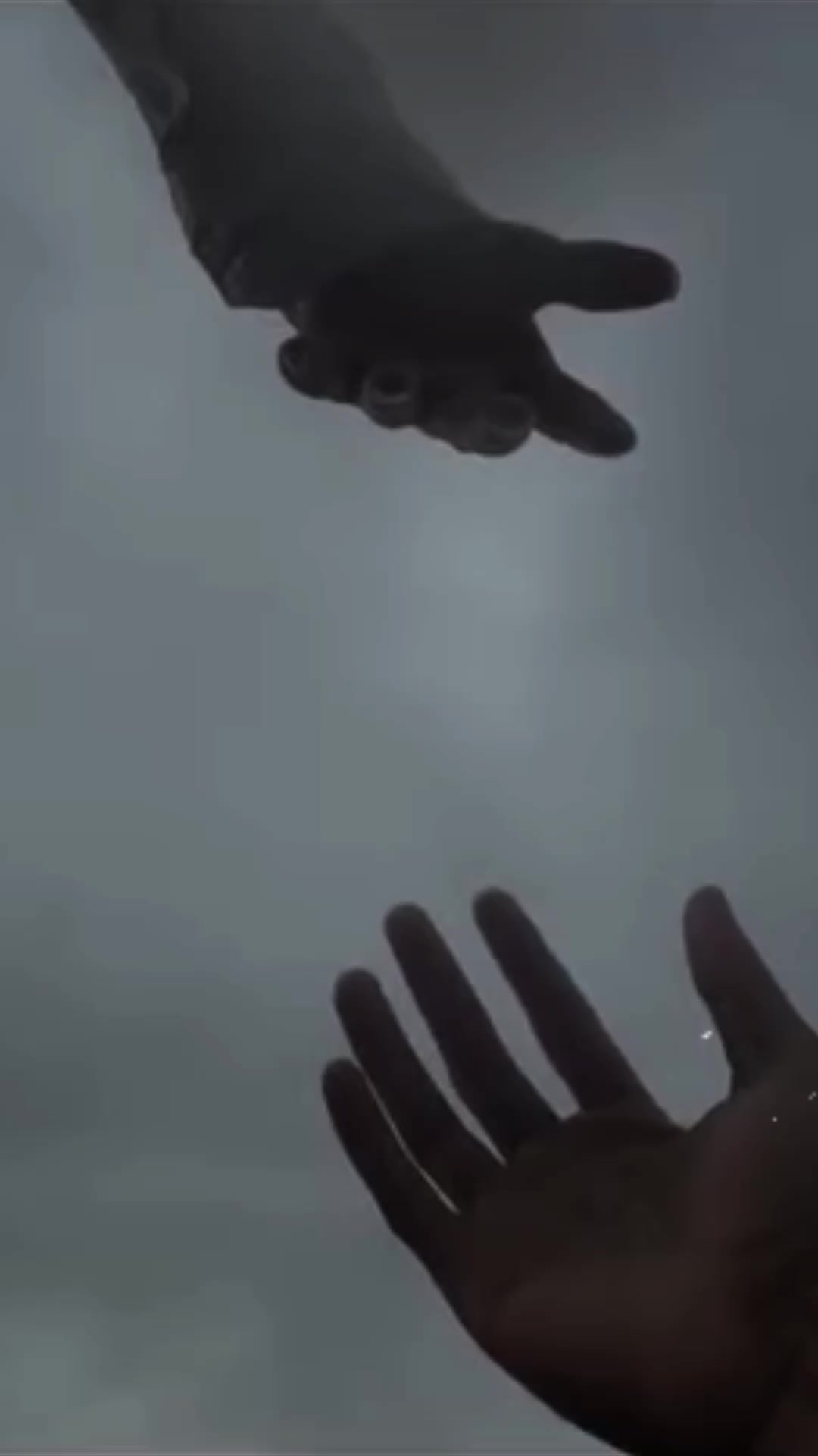 @𝗛𝗮𝗿𝗿𝘆