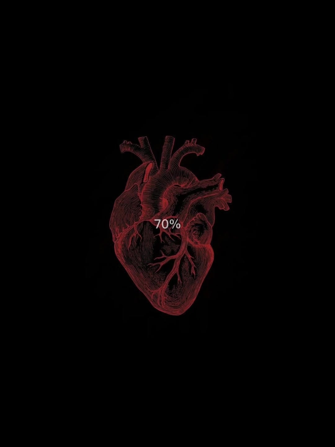 @حامد✨