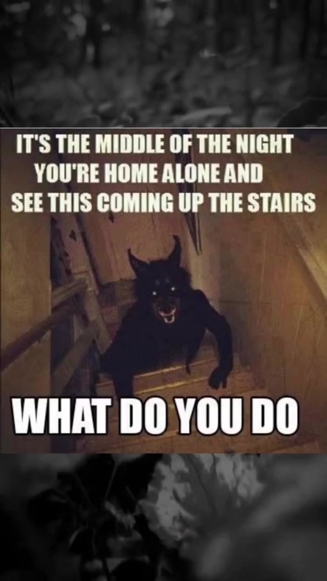 @SCARYVIDEOS
