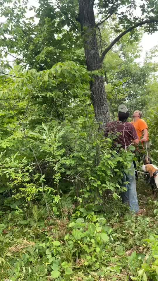 @Tri-County Outdoors