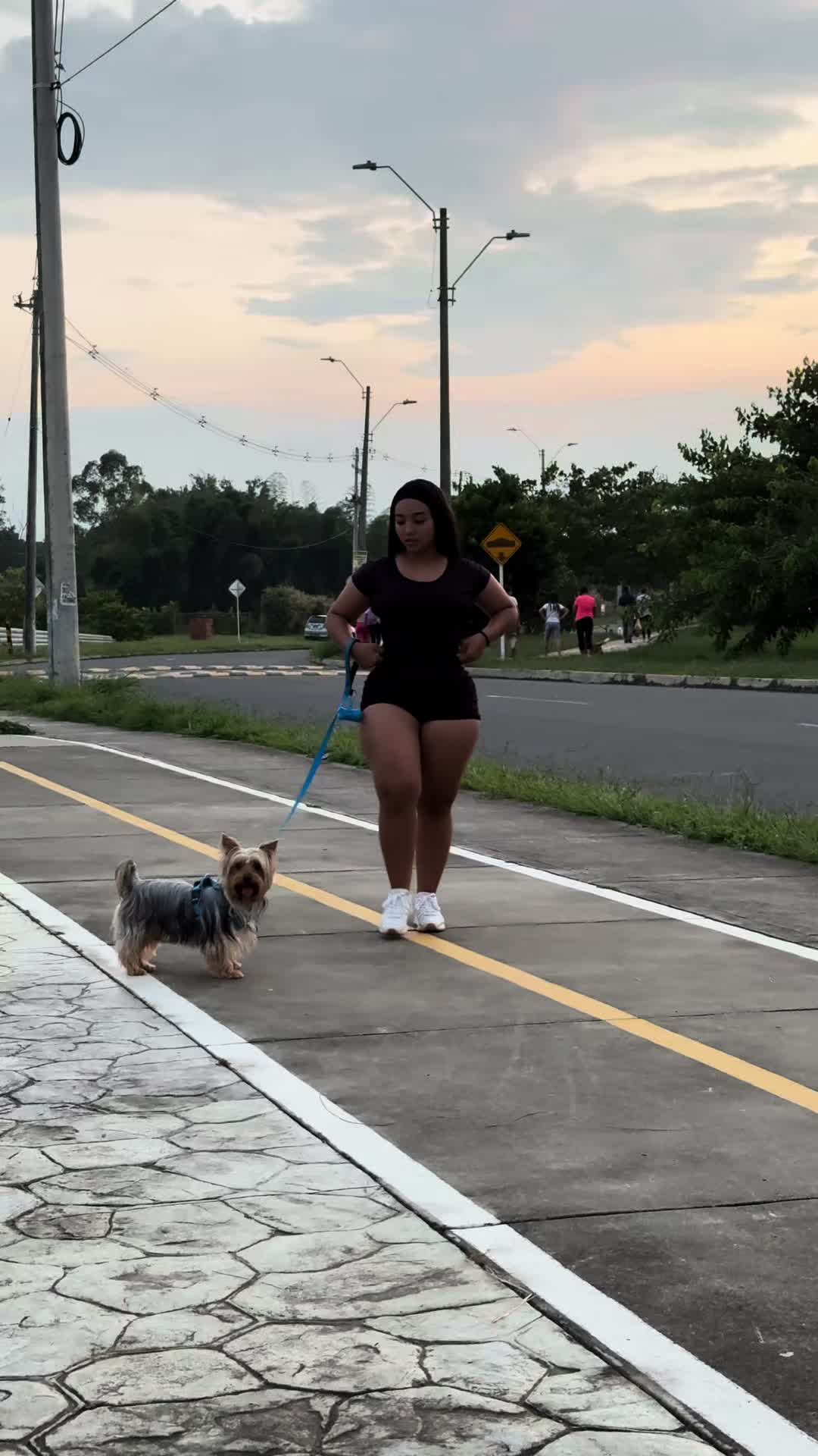 @Dahiana Castrillón