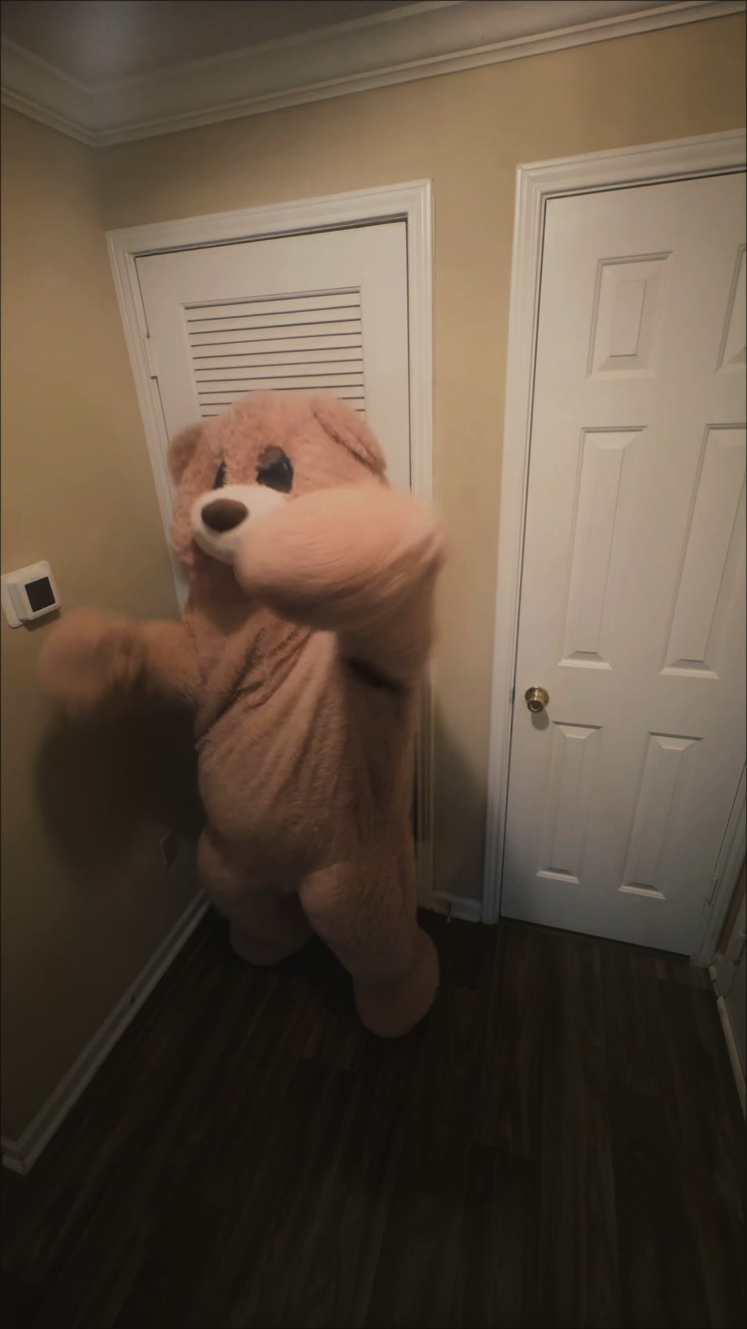 @jaythedancingbear
