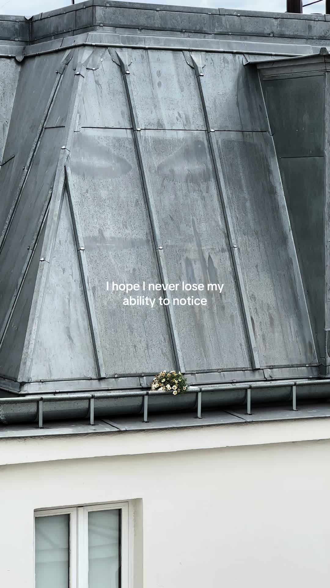 @dana