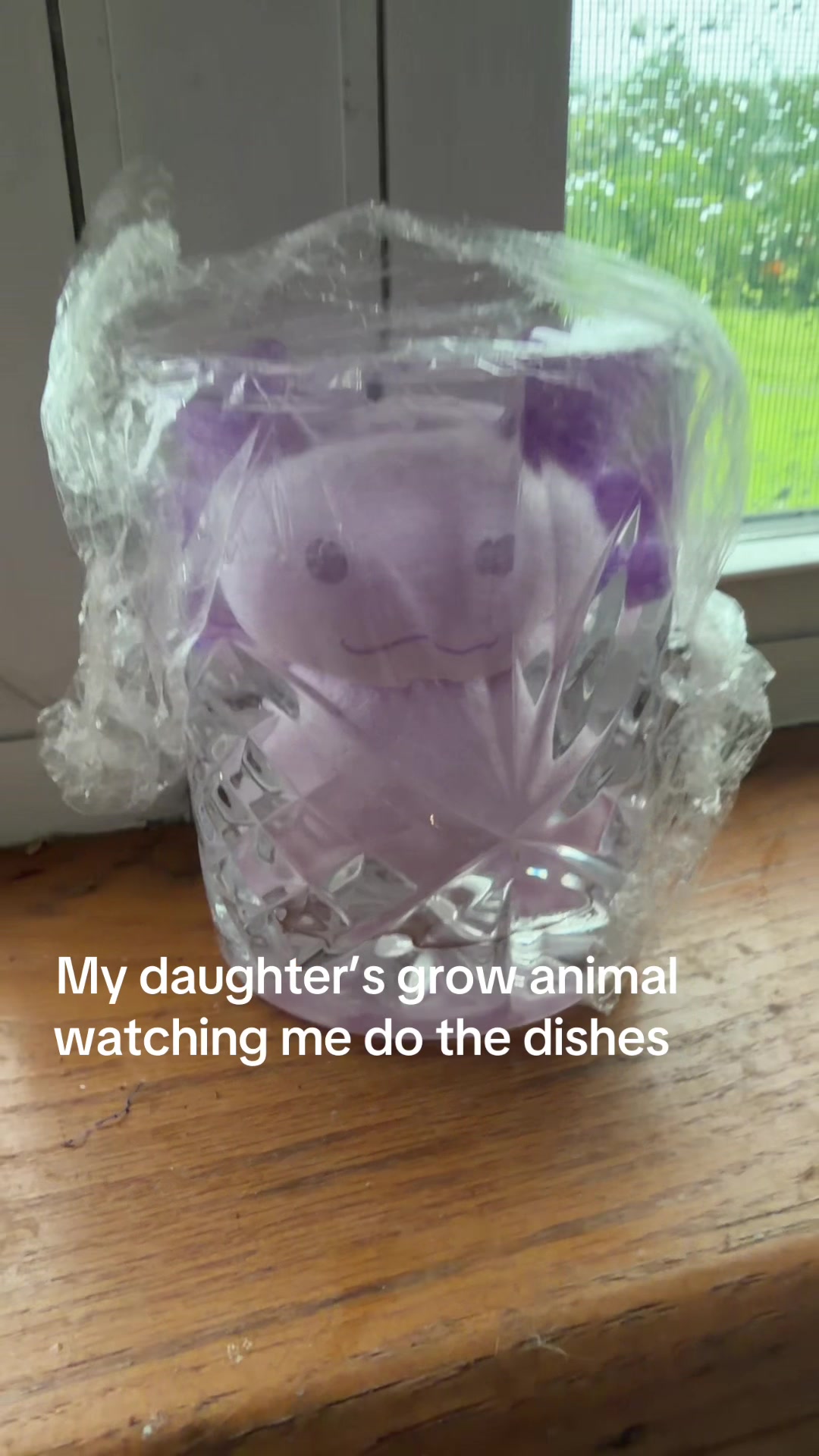 @DDanigray83