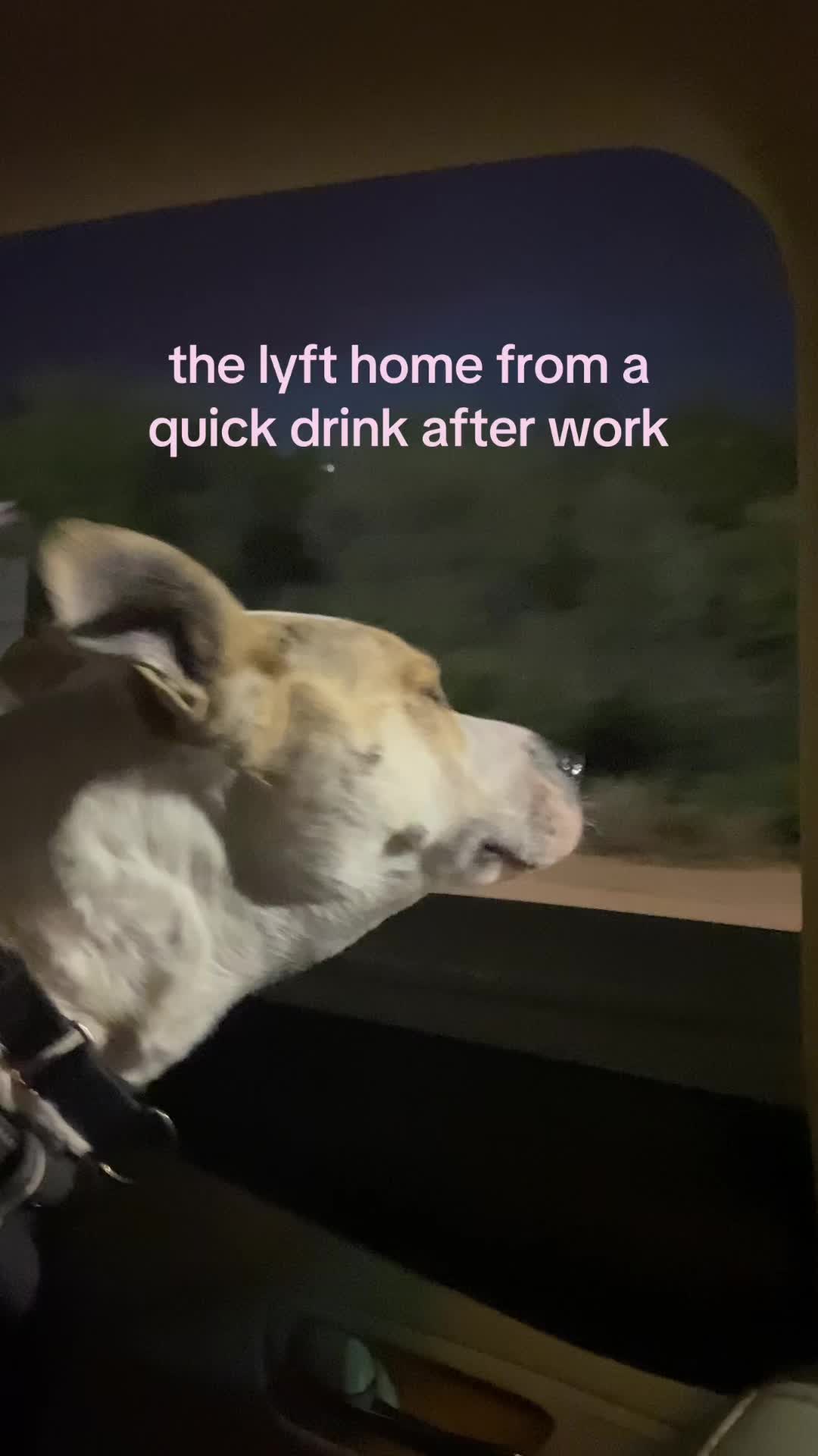 @Lyft
