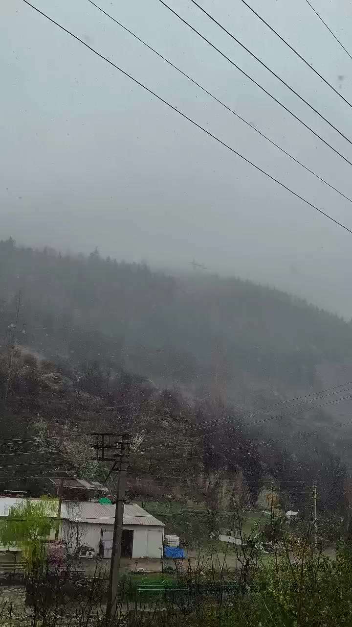 @Ali Usludil
