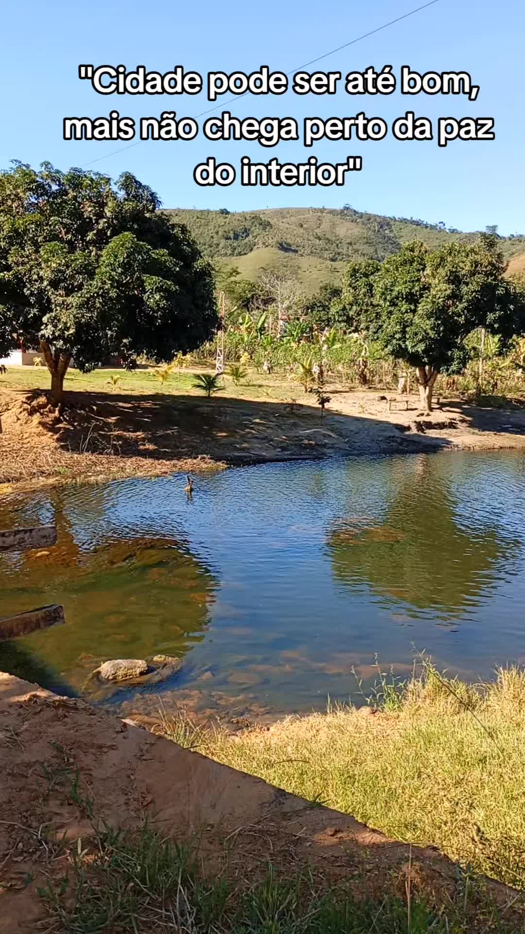 @Roça 🤠🌱