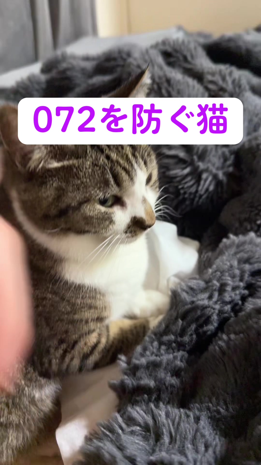 @ใจใใ๐๐ค๐3/28๐