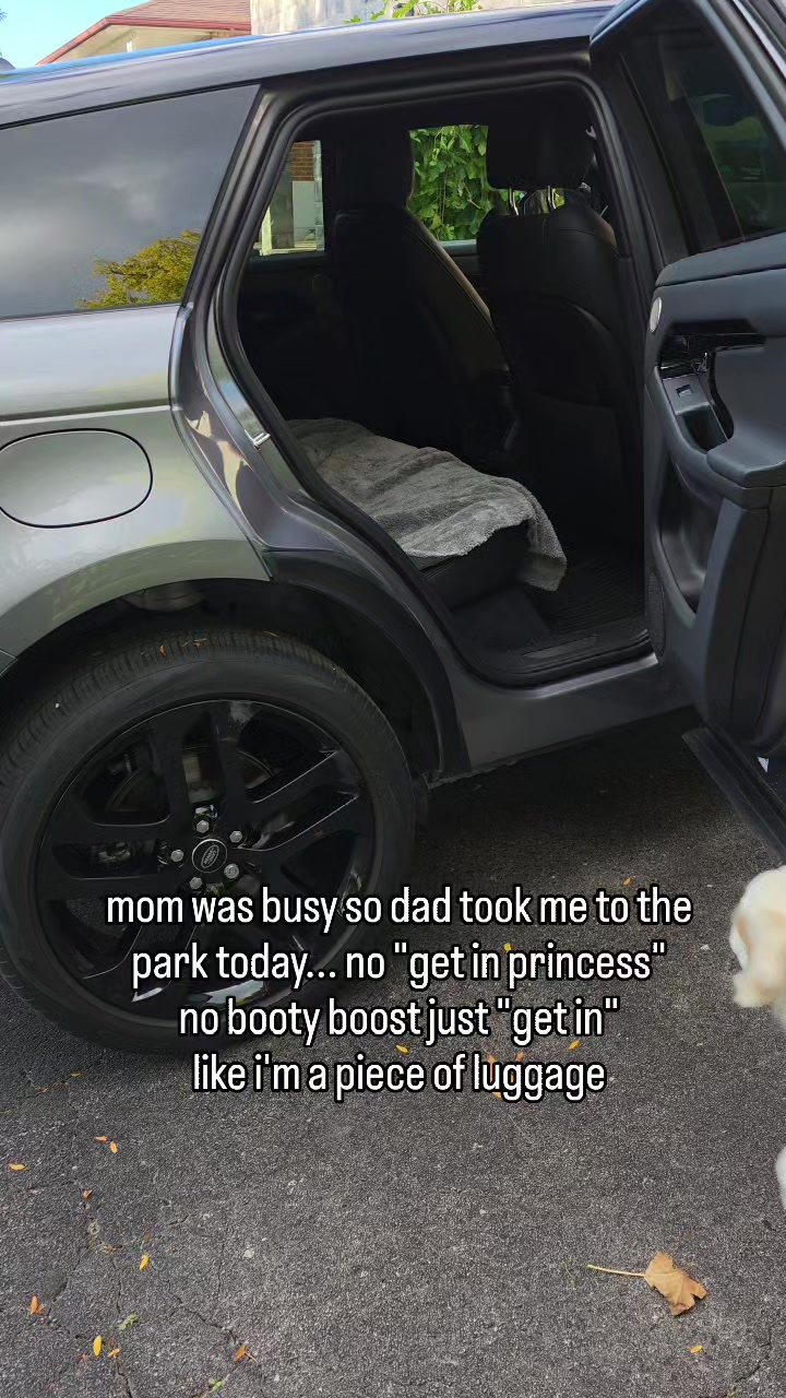 @MaxiTheCream