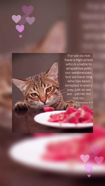 @🐱w!ne 🪺