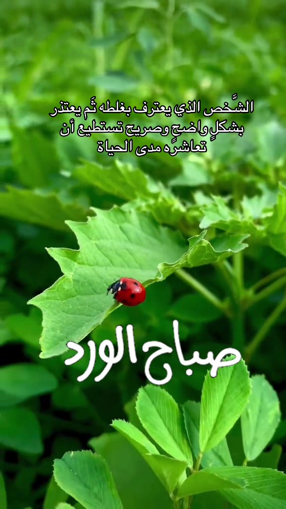 @Ali Al-Sarkhi