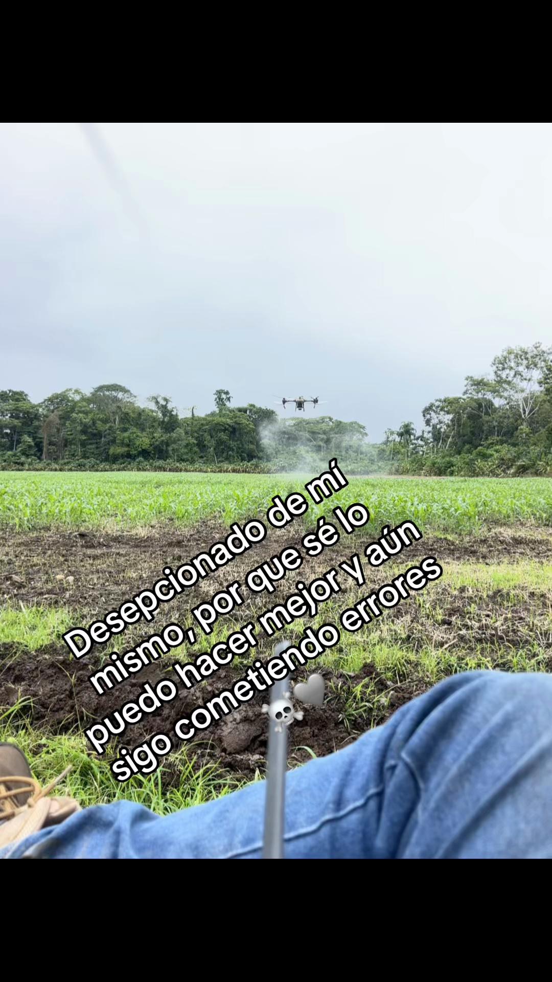 @Jairo Rosales