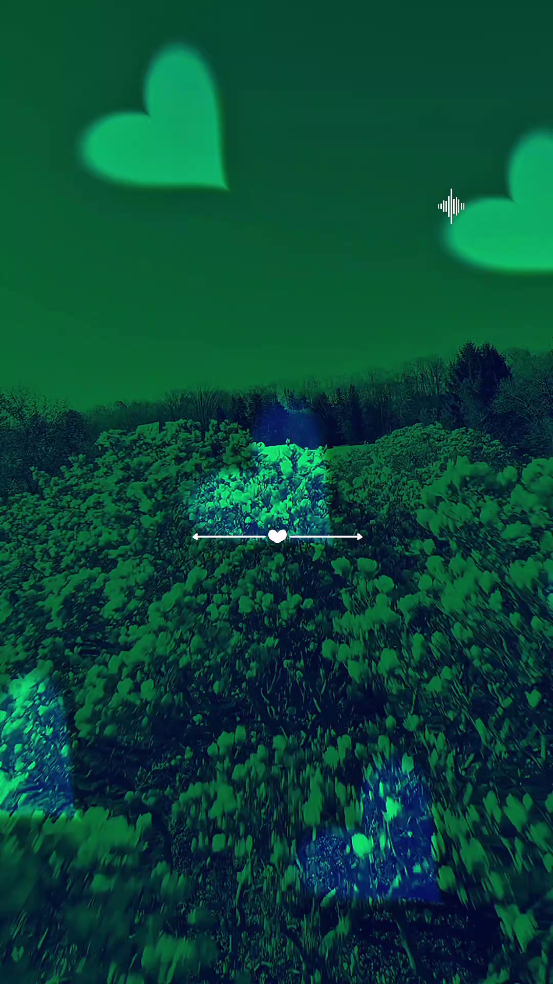 @𝐂𝐇𝐎𝐃𝐘 𝐆𝐑𝐀𝐏𝐇𝐈𝐗