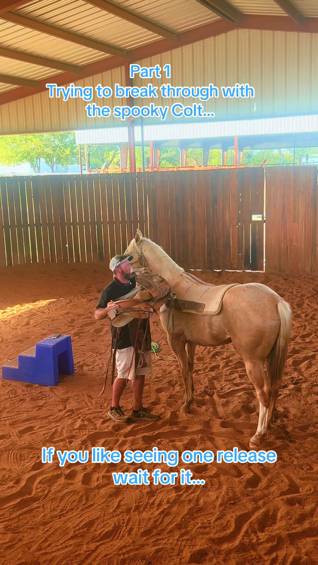 @Freedom Equestrian Center