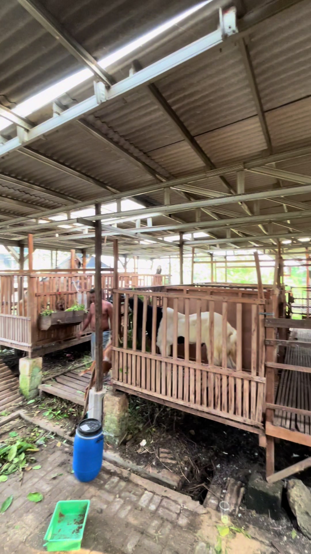 @CC Farm