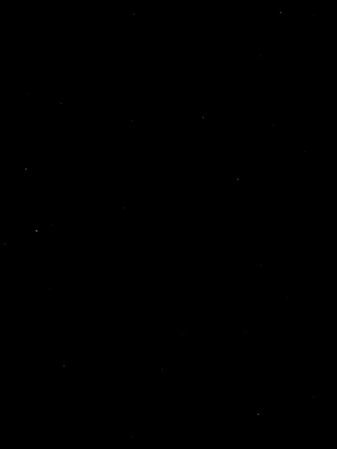 @𝙡𝙮𝙧𝙞𝙘𝙨𝙢𝙚𝙢𝙤