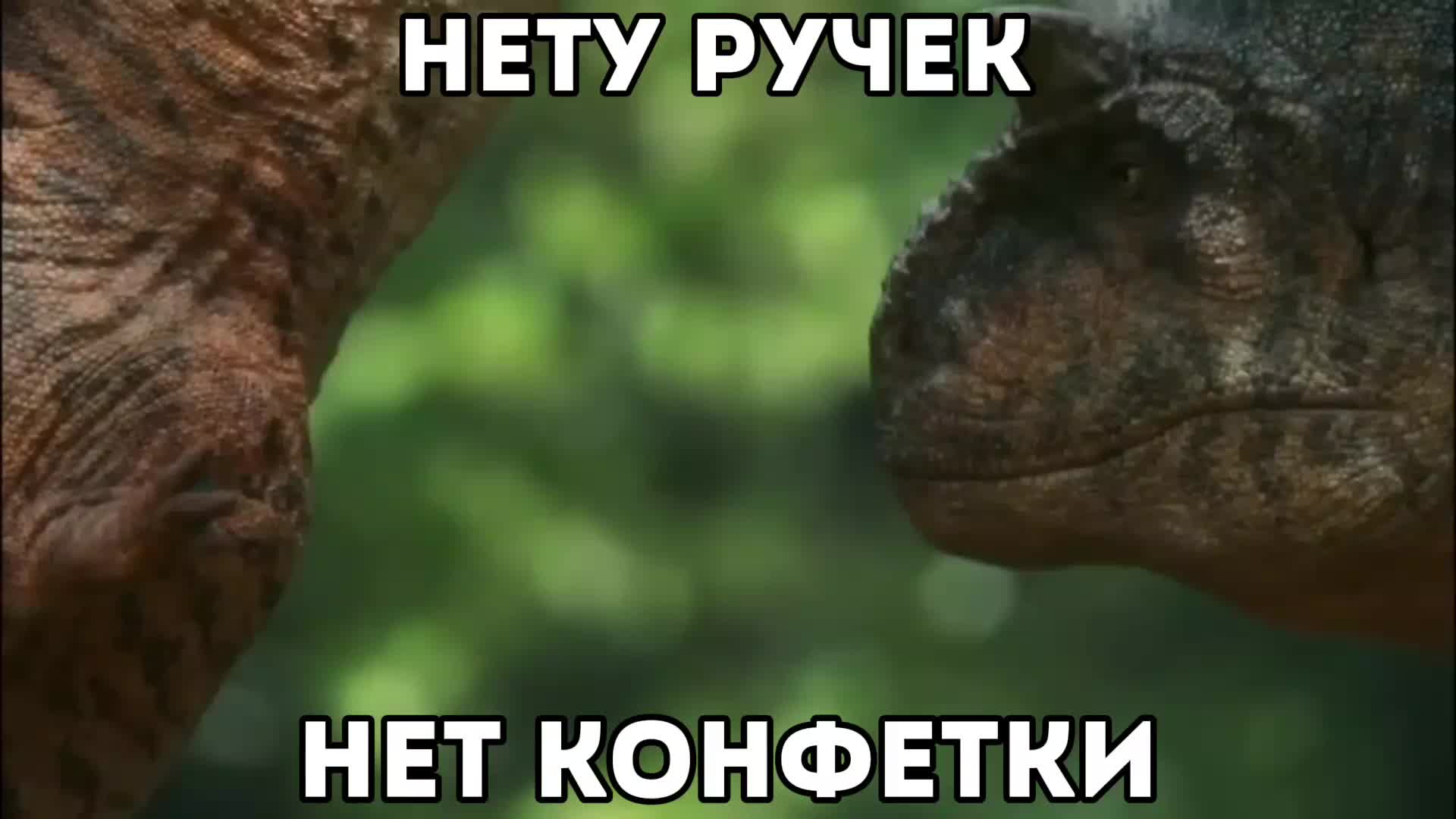 @Acrolog🦎🌱
