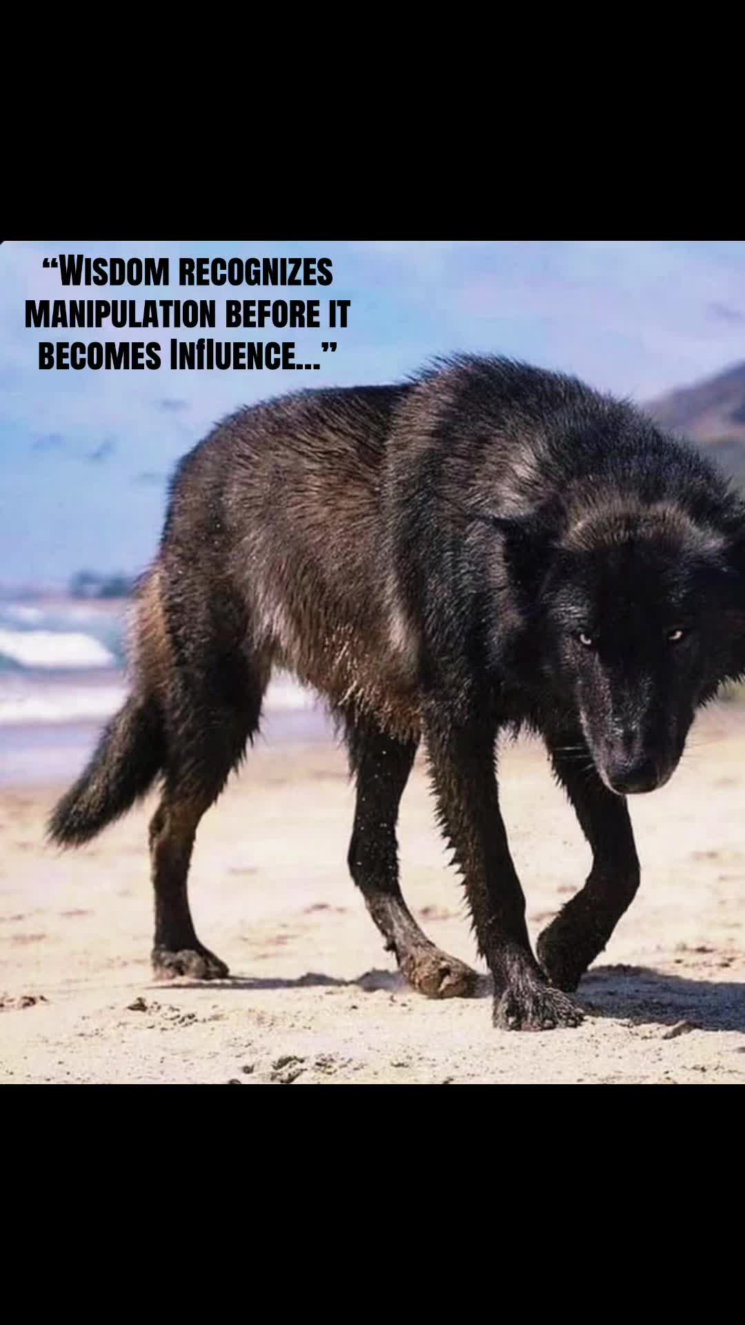 @🪬Conscious_LoneWolf🐺