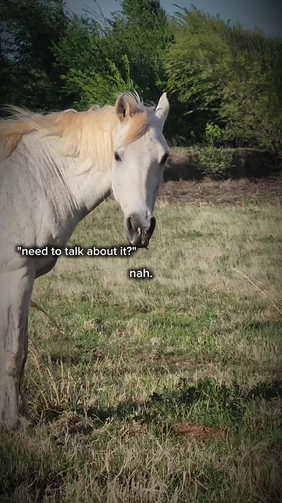 @Maddie White T1D